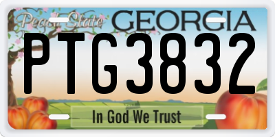 GA license plate PTG3832