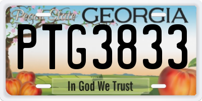 GA license plate PTG3833