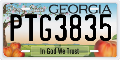 GA license plate PTG3835