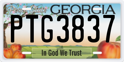 GA license plate PTG3837