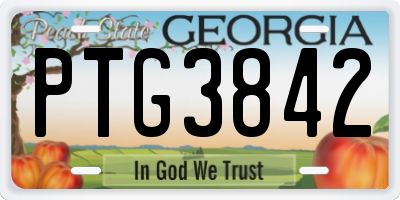 GA license plate PTG3842