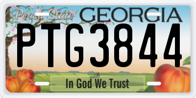 GA license plate PTG3844