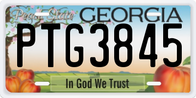 GA license plate PTG3845