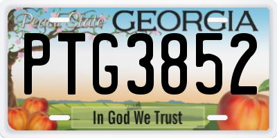 GA license plate PTG3852