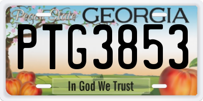 GA license plate PTG3853