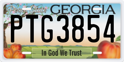 GA license plate PTG3854