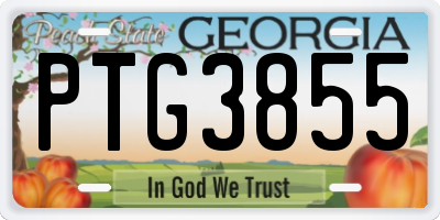 GA license plate PTG3855