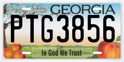 GA license plate PTG3856
