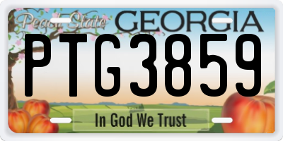 GA license plate PTG3859