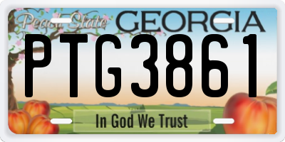GA license plate PTG3861