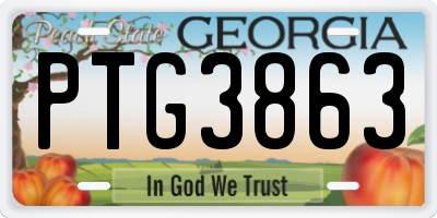 GA license plate PTG3863