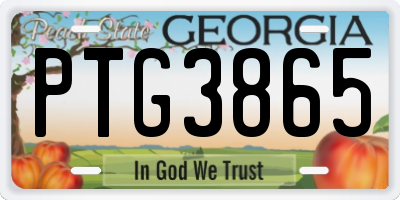 GA license plate PTG3865