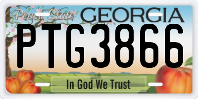 GA license plate PTG3866