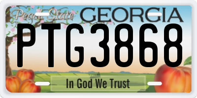 GA license plate PTG3868