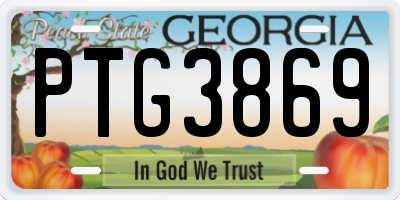 GA license plate PTG3869
