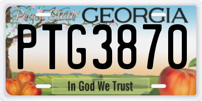 GA license plate PTG3870