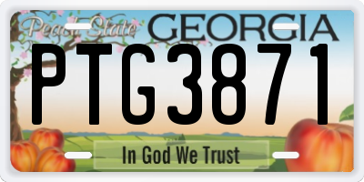 GA license plate PTG3871