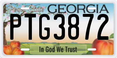 GA license plate PTG3872