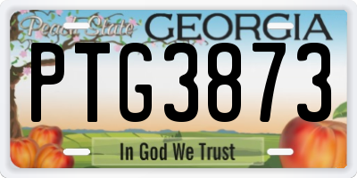 GA license plate PTG3873
