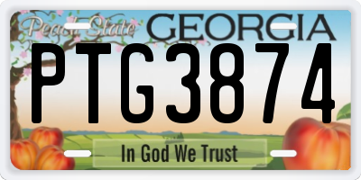 GA license plate PTG3874