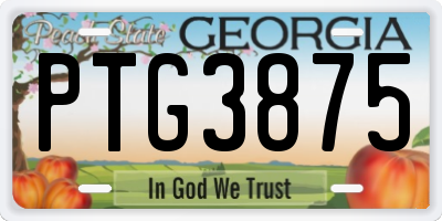 GA license plate PTG3875