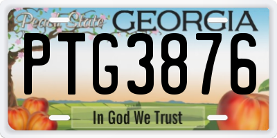 GA license plate PTG3876