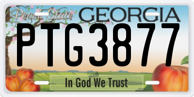 GA license plate PTG3877