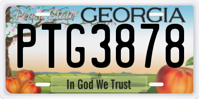 GA license plate PTG3878