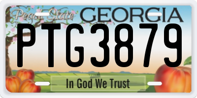 GA license plate PTG3879