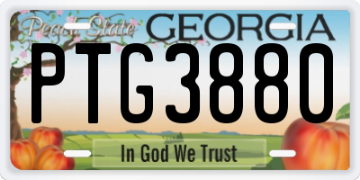 GA license plate PTG3880