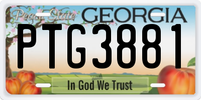 GA license plate PTG3881