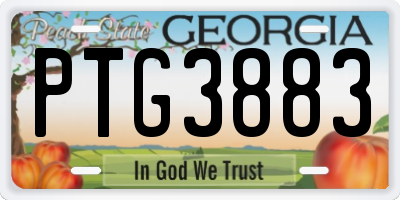 GA license plate PTG3883
