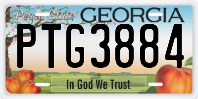 GA license plate PTG3884