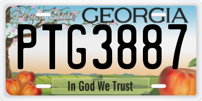 GA license plate PTG3887