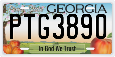GA license plate PTG3890