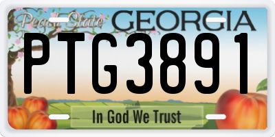 GA license plate PTG3891
