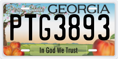 GA license plate PTG3893