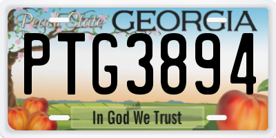 GA license plate PTG3894