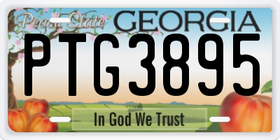 GA license plate PTG3895