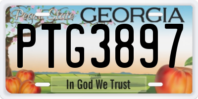 GA license plate PTG3897