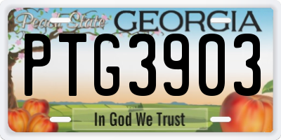 GA license plate PTG3903