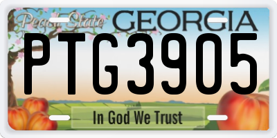 GA license plate PTG3905