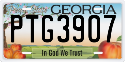 GA license plate PTG3907