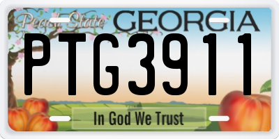 GA license plate PTG3911
