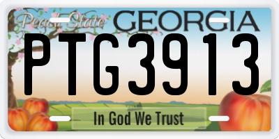 GA license plate PTG3913