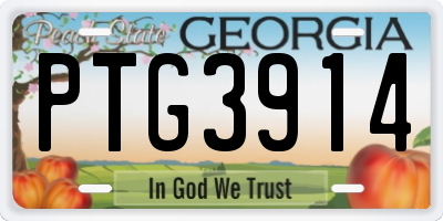 GA license plate PTG3914