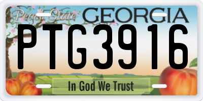 GA license plate PTG3916