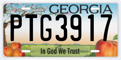 GA license plate PTG3917
