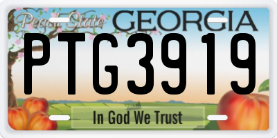 GA license plate PTG3919