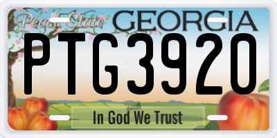 GA license plate PTG3920